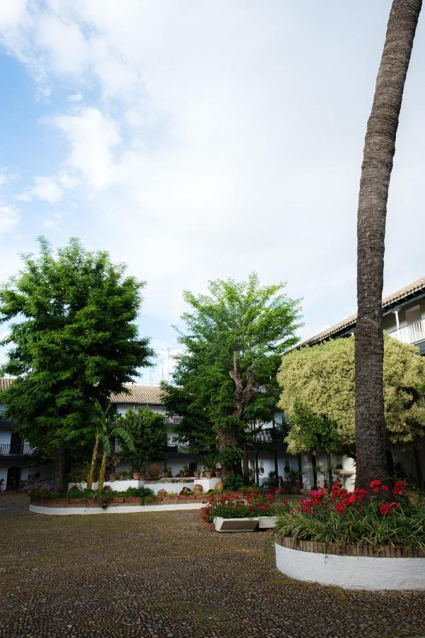 Vista Corral Del Conde Apartman Sevilla Kültér fotó